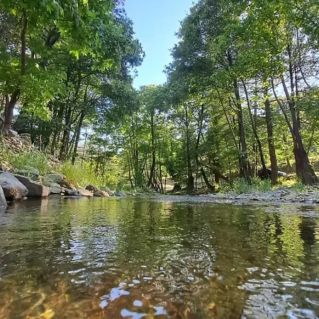 Willa Denize 550metre Kazdaglari Ve Deniz Manzarali 14 Kisilik Lueks